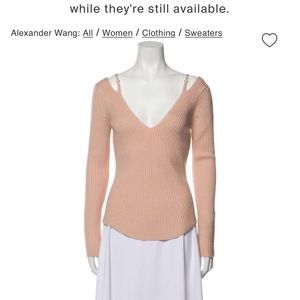 ISO!!! Alexander Wang pink v neck long sleeve